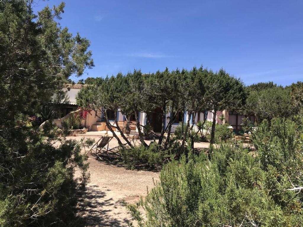 Casa Goro Formentera Villa Playa Migjorn Ruang foto