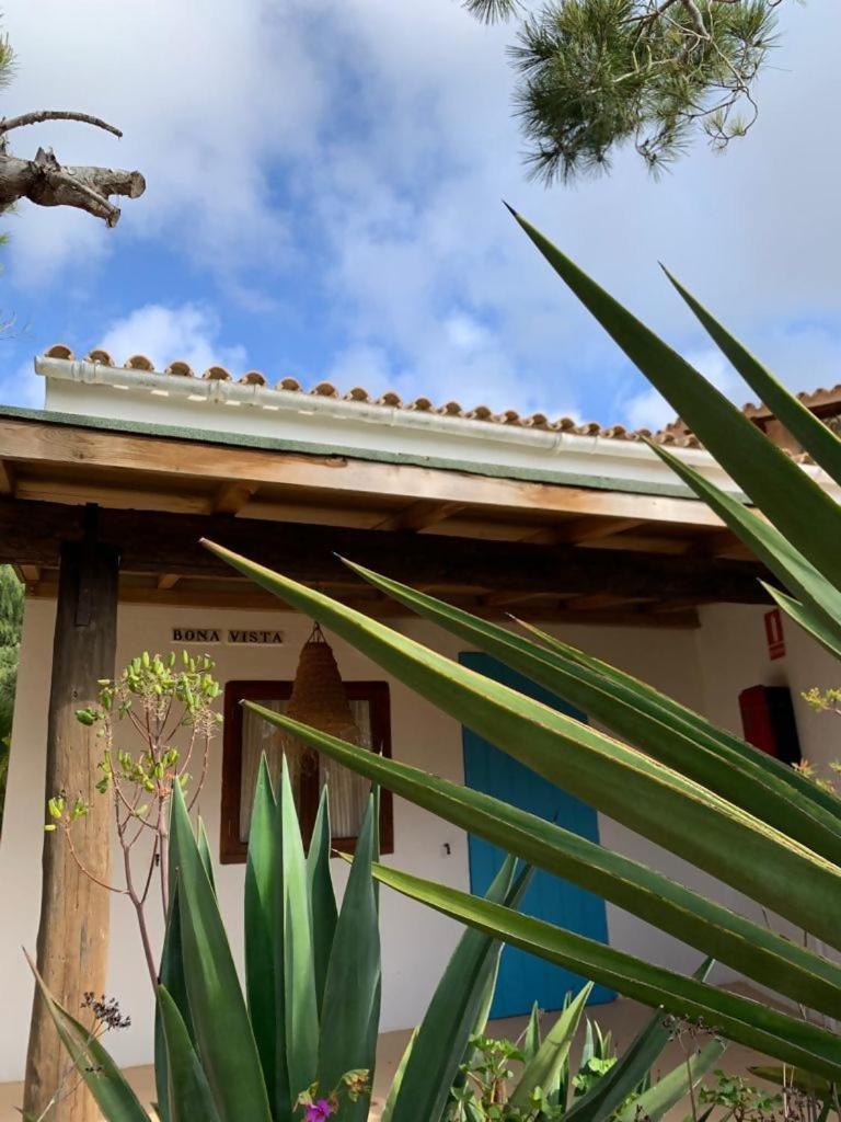 Casa Goro Formentera Villa Playa Migjorn Ruang foto
